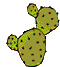 cactus-immagine-animata-0006