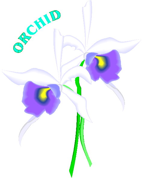 orchidea-immagine-animata-0002