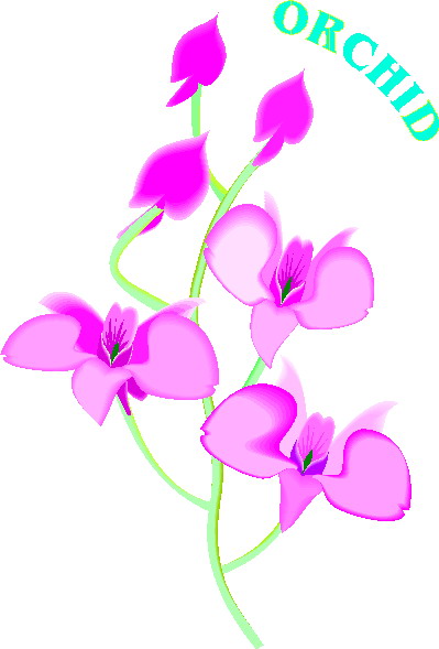 orchidea-immagine-animata-0004
