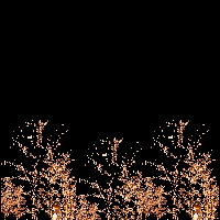 slitta-natalizia-immagine-animata-0018