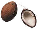 noce-di-cocco-immagine-animata-0009