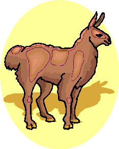 lama-immagine-animata-0008