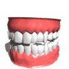 dentista-immagine-animata-0037