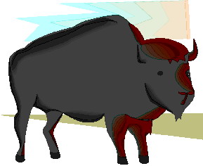 bufalo-immagine-animata-0052