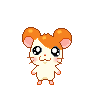 hamtaro-immagine-animata-0097