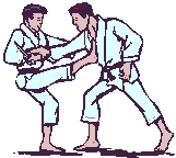 judo-immagine-animata-0016