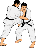 judo-immagine-animata-0017