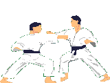 judo-immagine-animata-0044