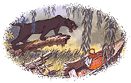 libro-della-giungla-immagine-animata-0112