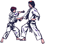 karate-immagine-animata-0011