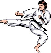 karate-immagine-animata-0012