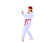 karate-immagine-animata-0051