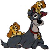 lilli-e-il-vagabondo-immagine-animata-0079