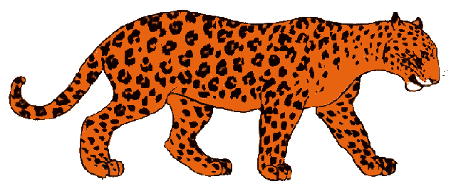 leopardo-immagine-animata-0019