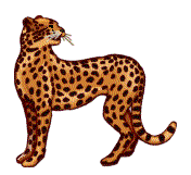 leopardo-immagine-animata-0021