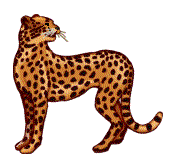 leopardo-immagine-animata-0021