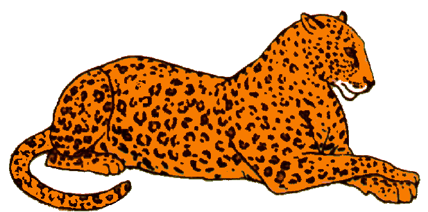 leopardo-immagine-animata-0024