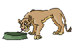 re-leone-immagine-animata-0152