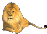 leone-immagine-animata-0104