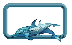 targa-con-il-nome-immagine-animata-0040