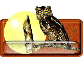 targa-con-il-nome-immagine-animata-0071