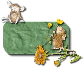 targa-con-il-nome-immagine-animata-0088