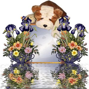 targa-con-il-nome-immagine-animata-0174