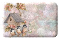 targa-con-il-nome-immagine-animata-0306