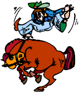 rodeo-immagine-animata-0012