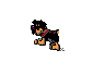 rottweiler-immagine-animata-0037