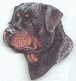 rottweiler-immagine-animata-0051