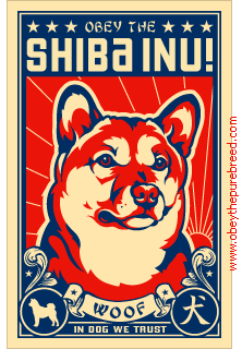 shiba-immagine-animata-0009