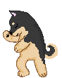 shiba-immagine-animata-0016