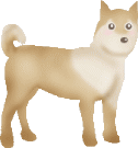 shiba-immagine-animata-0038