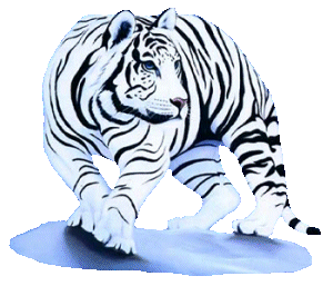 tigre-immagine-animata-0001