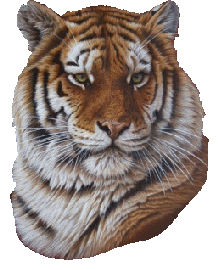 tigre-immagine-animata-0009