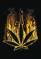 marijuana-ganja-e-weed-immagine-animata-0007