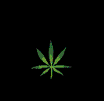 marijuana-ganja-e-weed-immagine-animata-0009