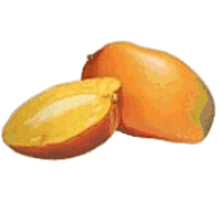 mango-immagine-animata-0010