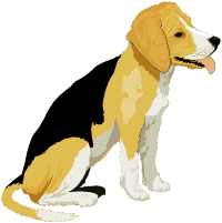 beagle-immagine-animata-0024