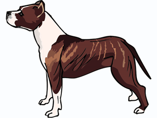 bull-terrier-immagine-animata-0002