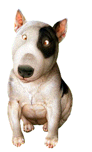 bull-terrier-immagine-animata-0006
