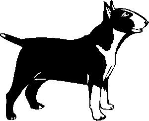 bull-terrier-immagine-animata-0007