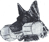 addestramento-di-cane-immagine-animata-0003