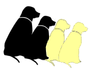 labrador-immagine-animata-0026