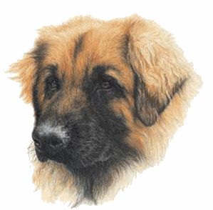 leonberger-immagine-animata-0019