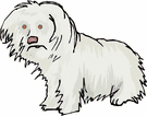 cane-maltese-immagine-animata-0012