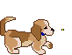cucciolo-immagine-animata-0005