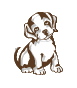cucciolo-immagine-animata-0009