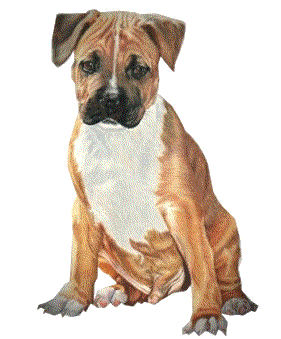 cucciolo-immagine-animata-0037